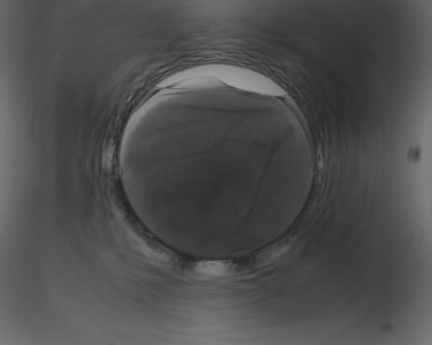 X0000115720231200912241611