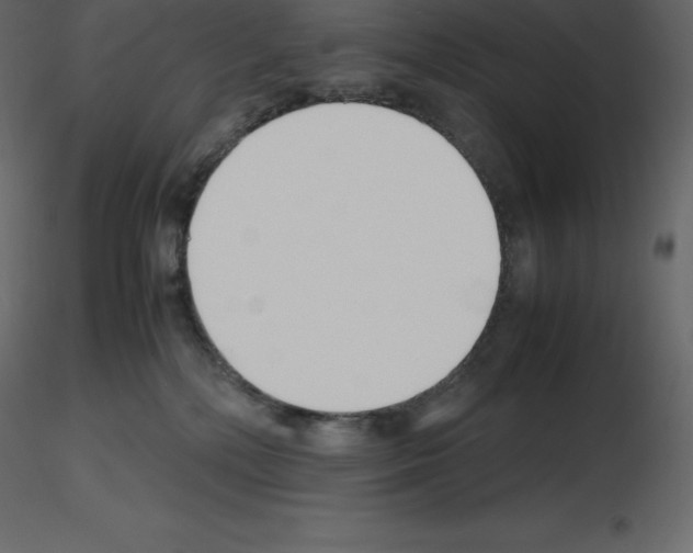 X0000115720232200912241611