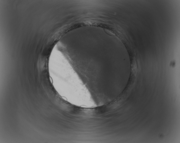 X0000115720233200912241611