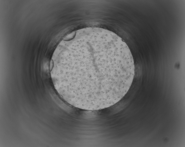 X0000115720238200912241611