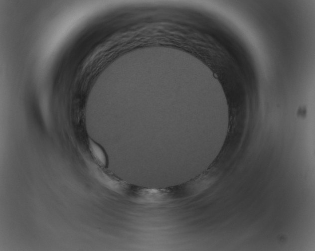 X0000115720239200912241611