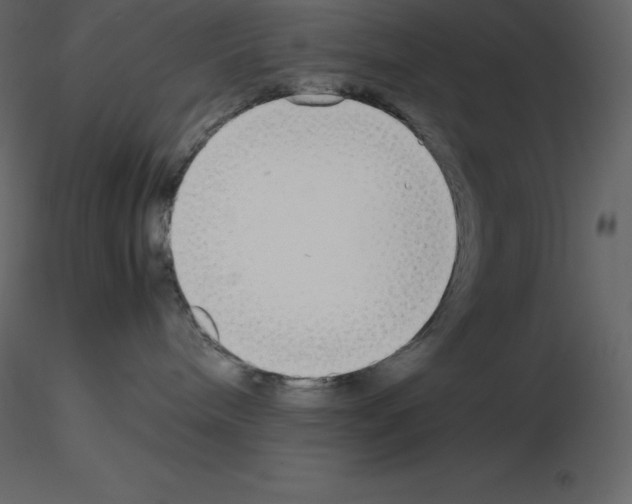 X0000115720240200912241611