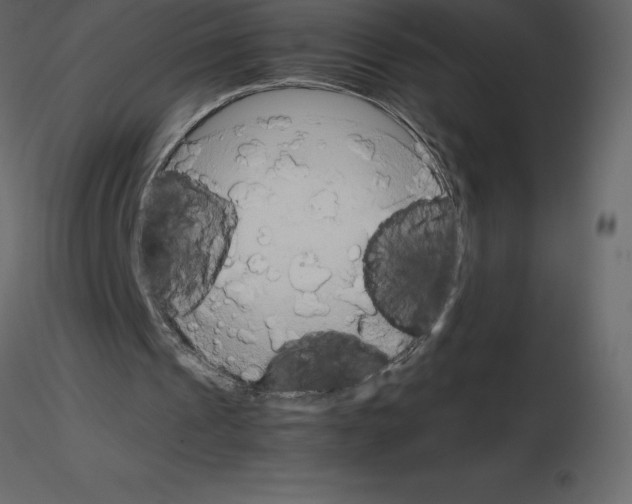 X0000115720241200912241611