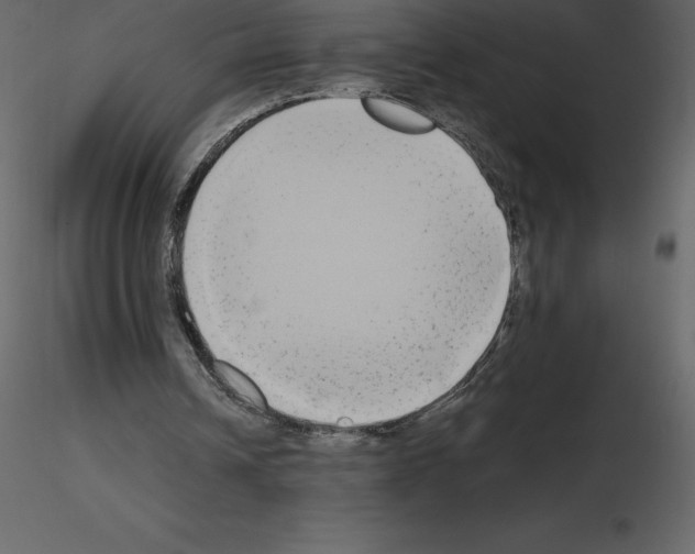 X0000115720242200912241611