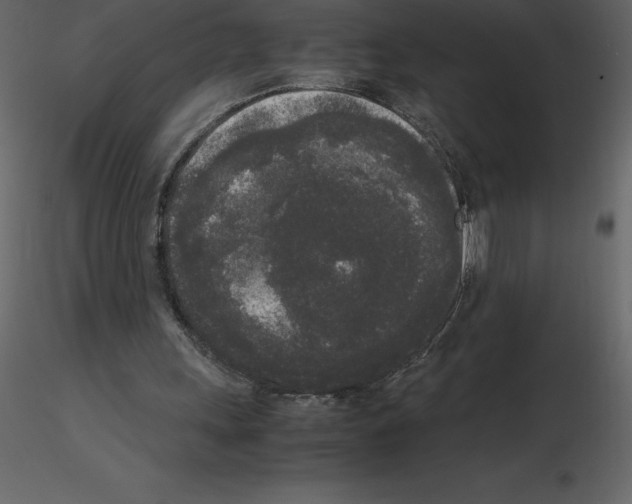 X0000115720243200912241611