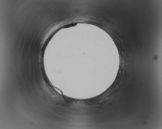 X0000115720244200912241611