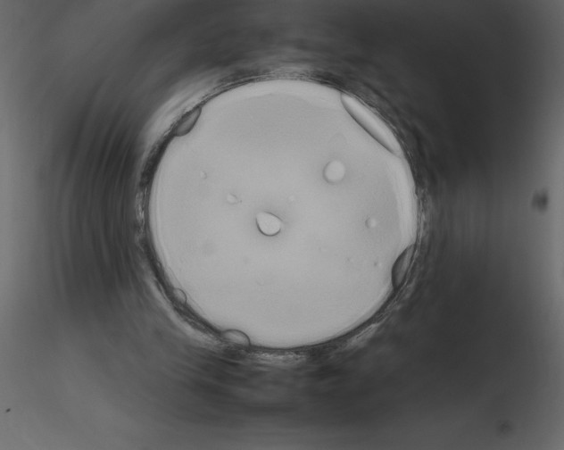 X0000115720245200912241611