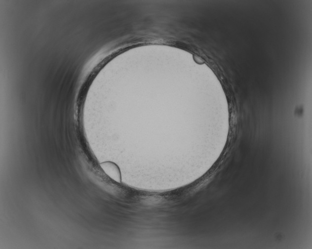 X0000115720246200912241611