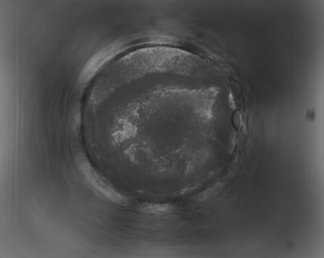 X0000115720247200912241611