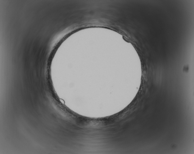 X0000115720248200912241611