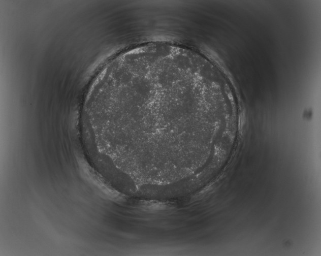 X0000115720249200912241611