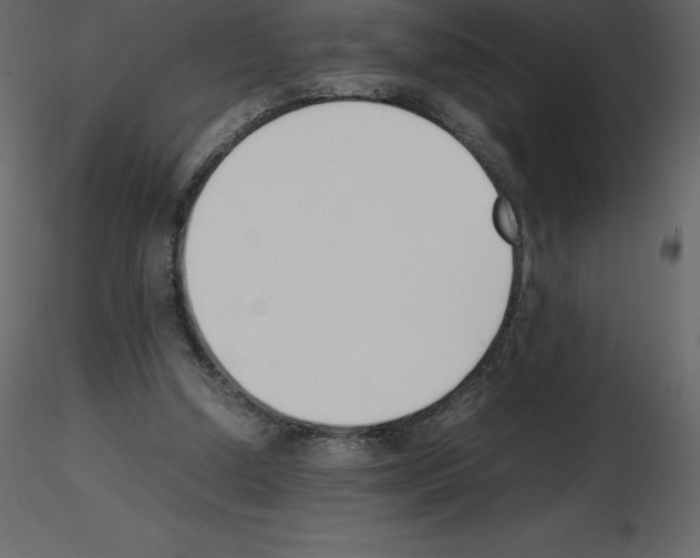 X0000115720250200912241611