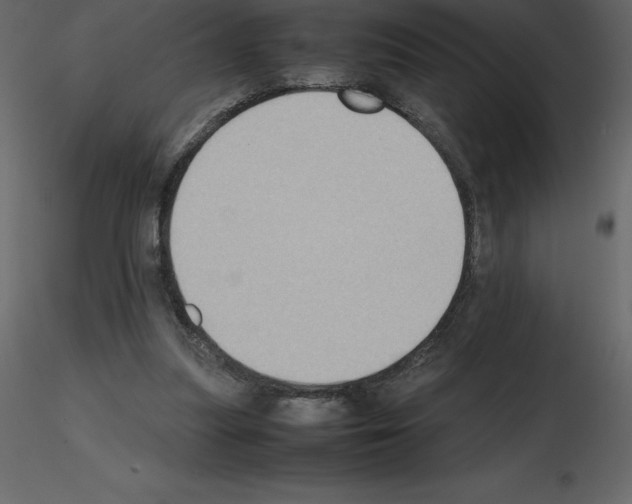 X0000115720251200912241611