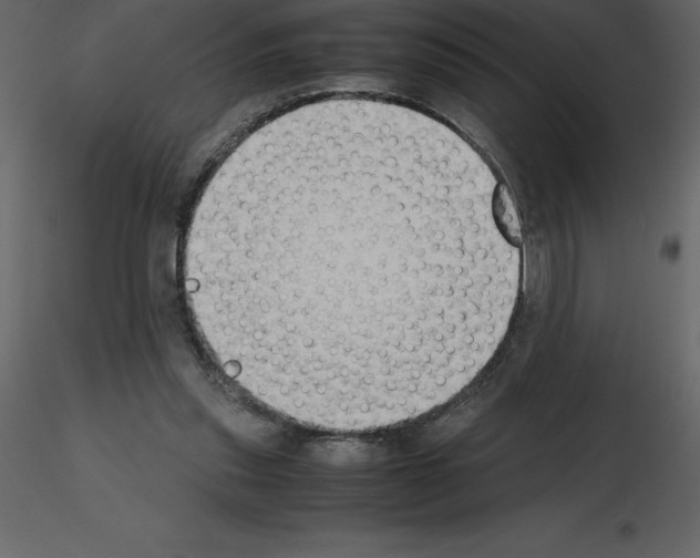 X0000115720253200912241611