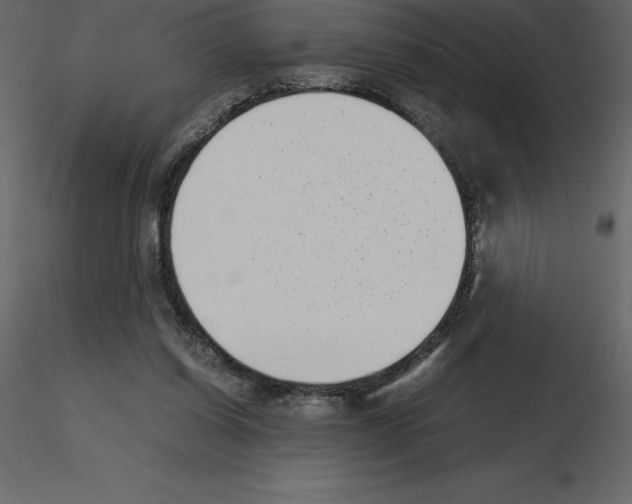 X0000115720254200912241611