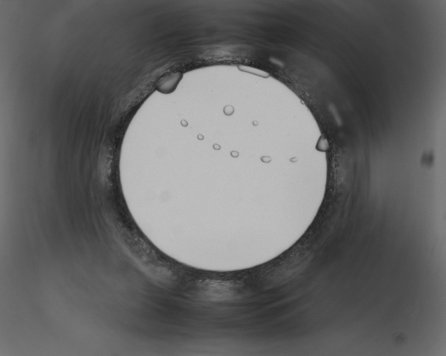 X0000115720255200912241611
