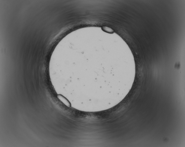 X0000115720256200912241611