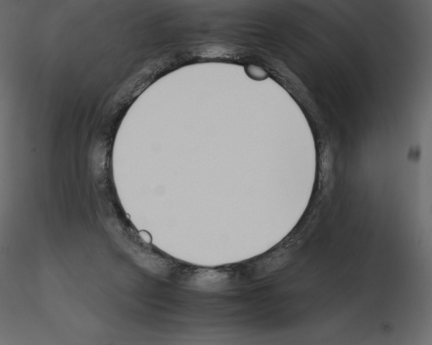 X0000115720257200912241611