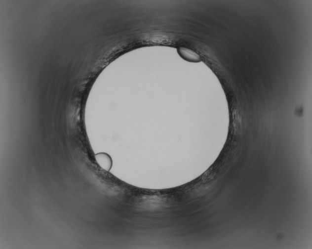 X0000115720259200912241611