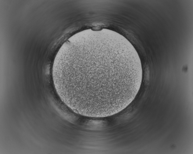 X0000115720260200912241611