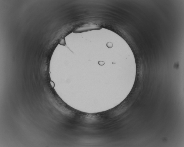 X0000115720261200912241611