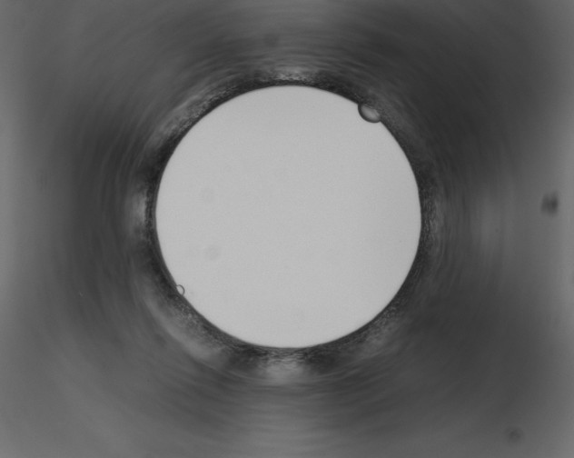 X0000115720262200912241611