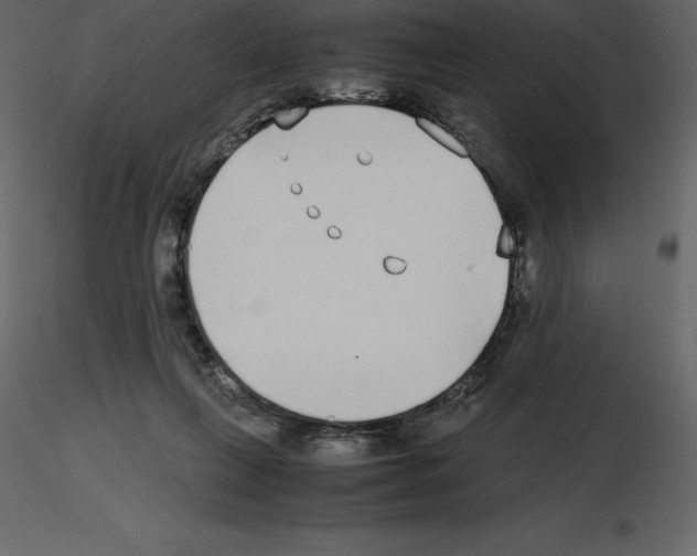 X0000115720263200912241611
