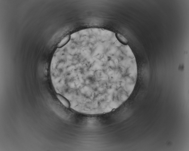 X0000115720264200912241611