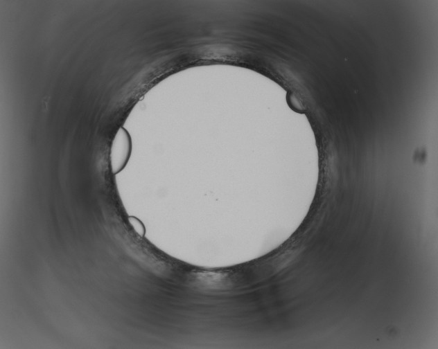 X0000115720265200912241611