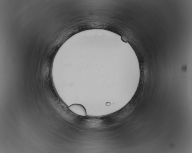 X0000115720266200912241611