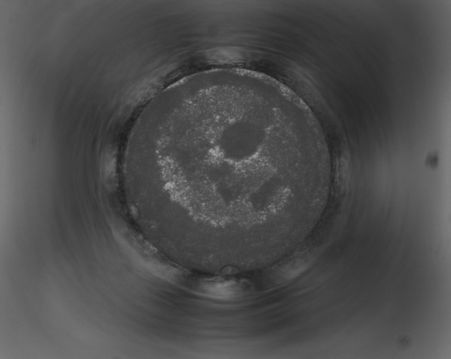 X0000115720267200912241611
