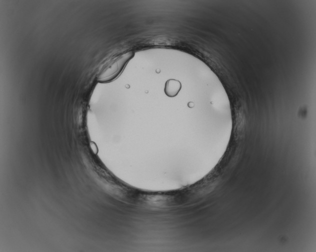 X0000115720268200912241611