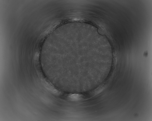 X0000115720269200912241611
