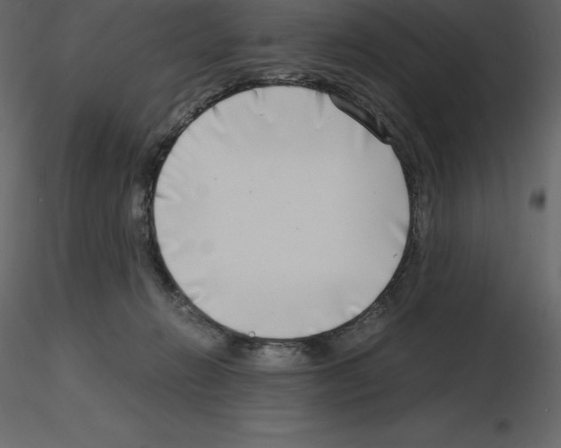 X0000115720270200912241611