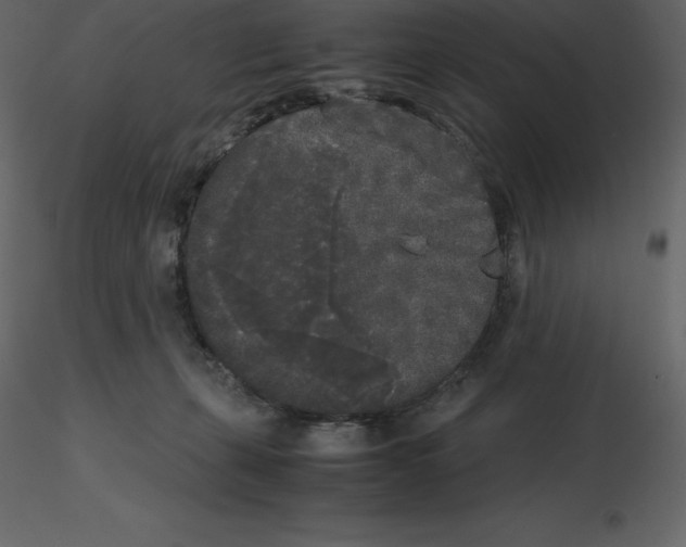 X0000115720271200912241611