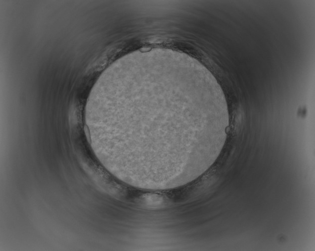X0000115720272200912241611