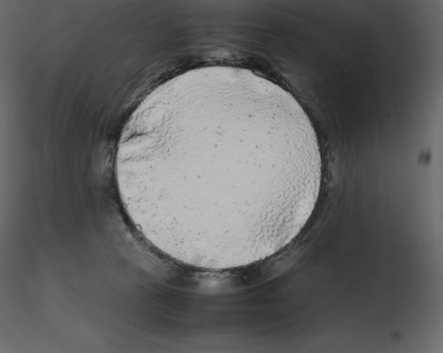 X0000115720273200912241611