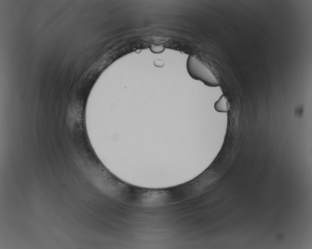 X0000115720274200912241611
