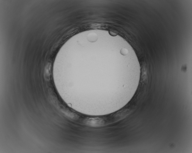 X0000115720275200912241611