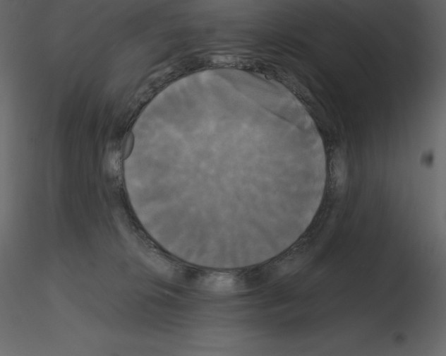 X0000115720276200912241611