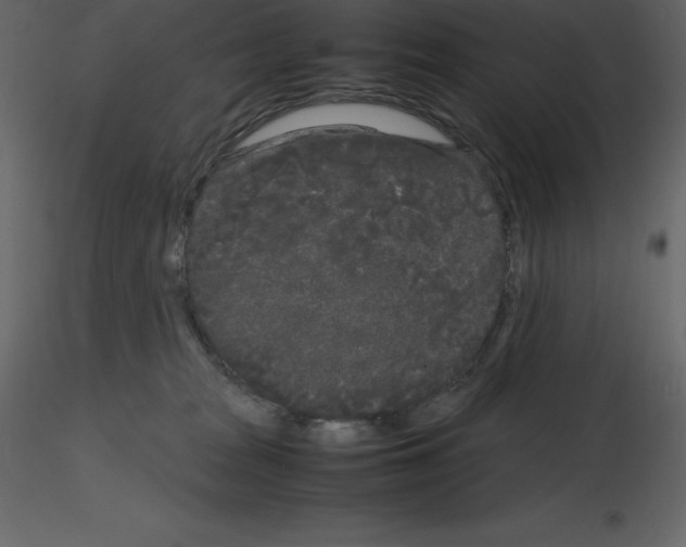 X0000115720277200912241611