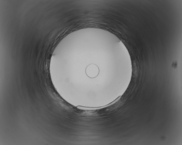 X0000115720280200912241611
