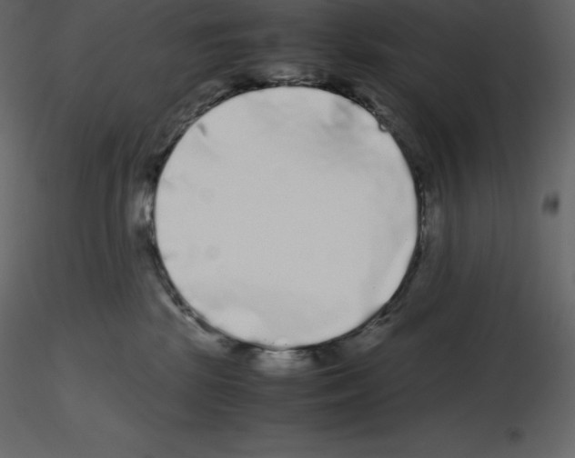 X0000115720281200912241611