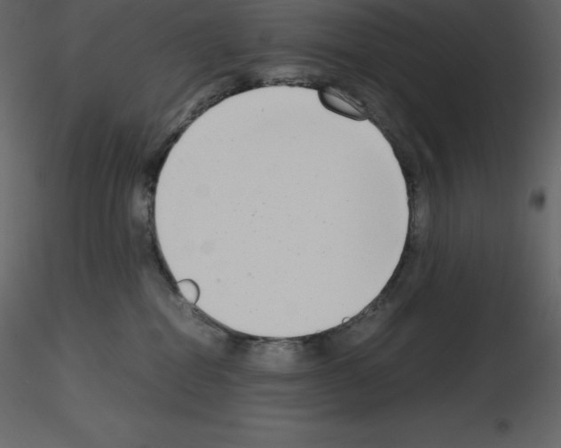 X0000115720282200912241611