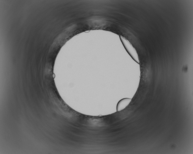 X0000115720283200912241611