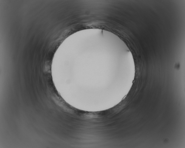 X0000115720284200912241611