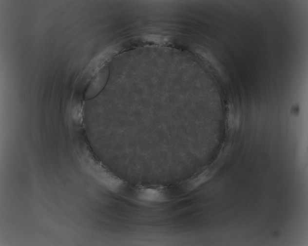 X0000115720285200912241611