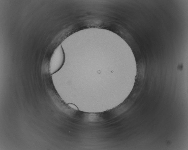 X0000115720287200912241611