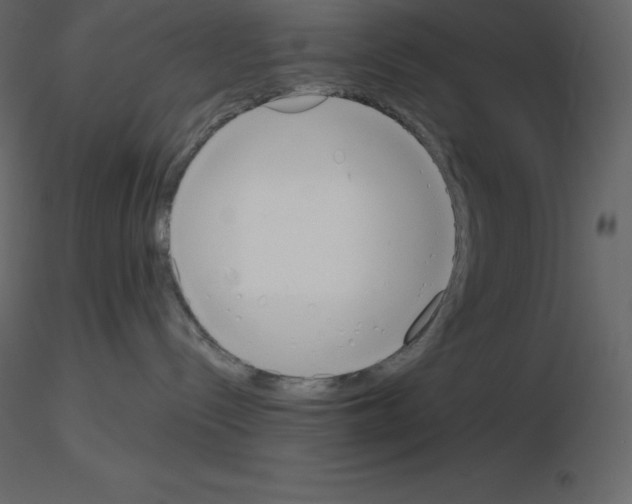 X0000115720288200912241611