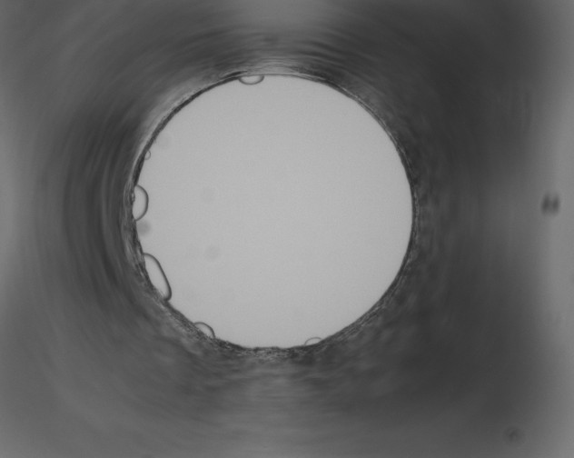 X0000115720289200912241610